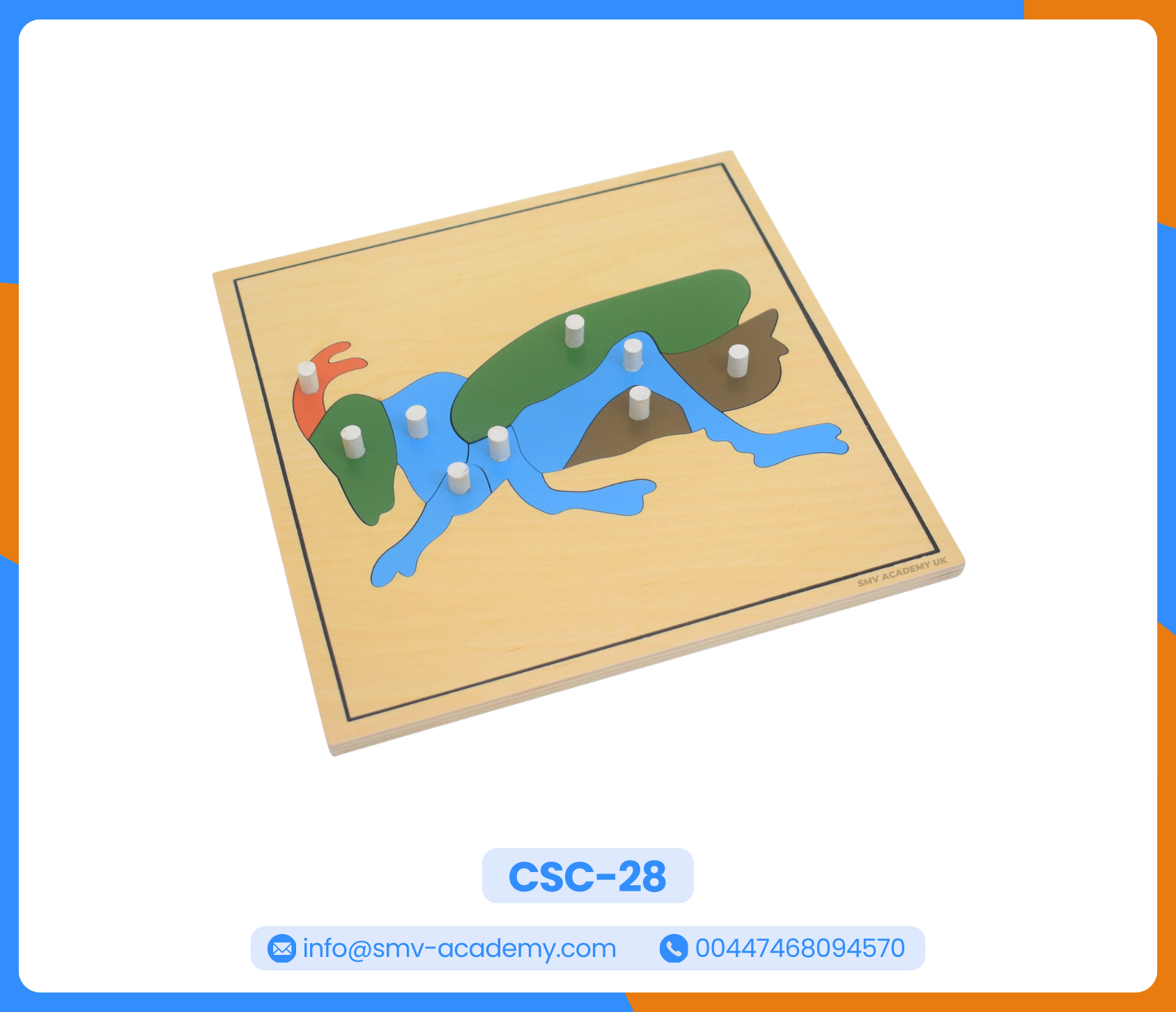 بازل أجزاء الجندب – الجراد